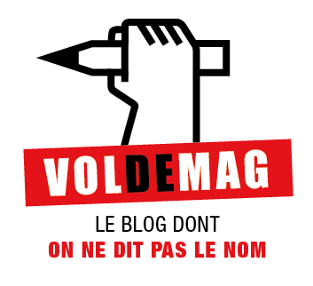 Logo_voldemag_grand
